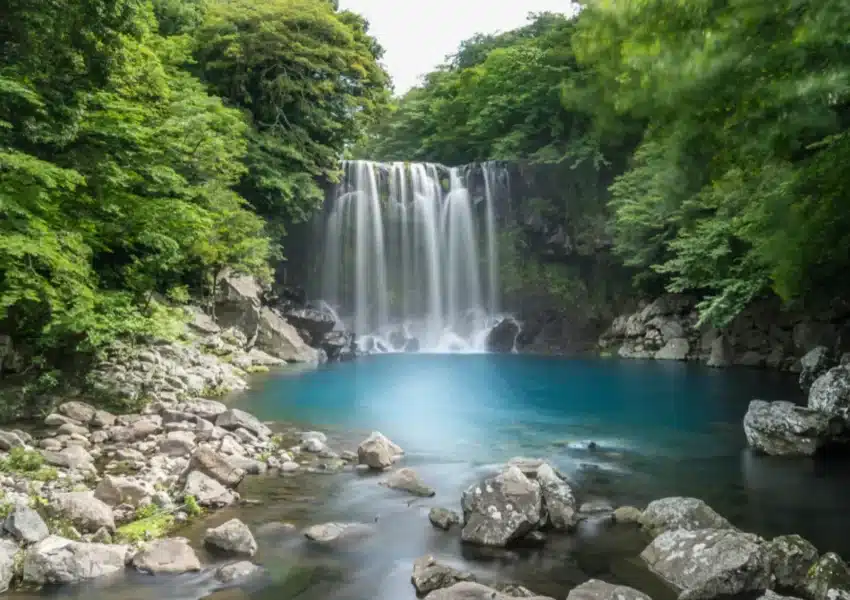 korea tour packages from india
