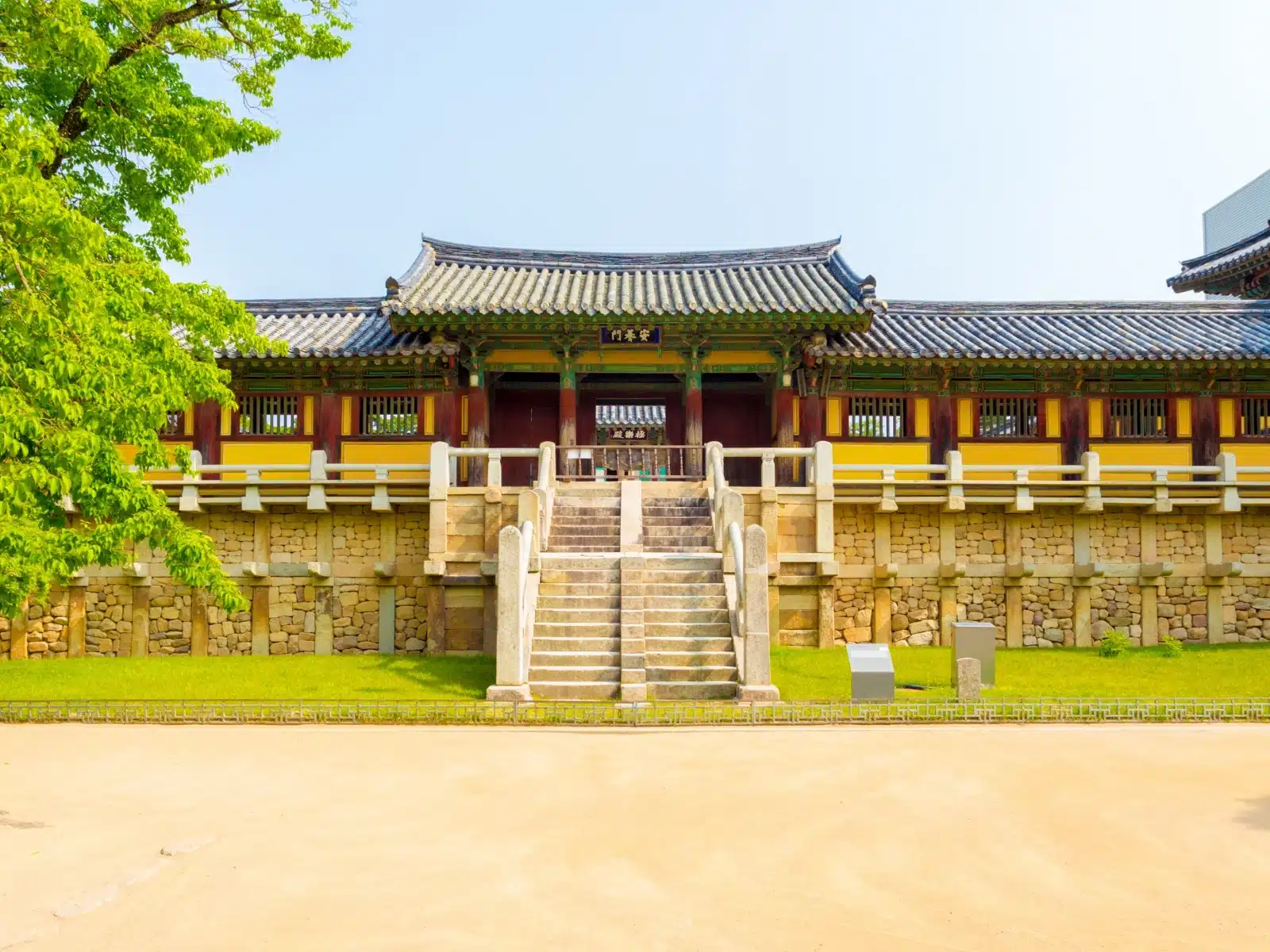 gyeongju cherry blossom festival