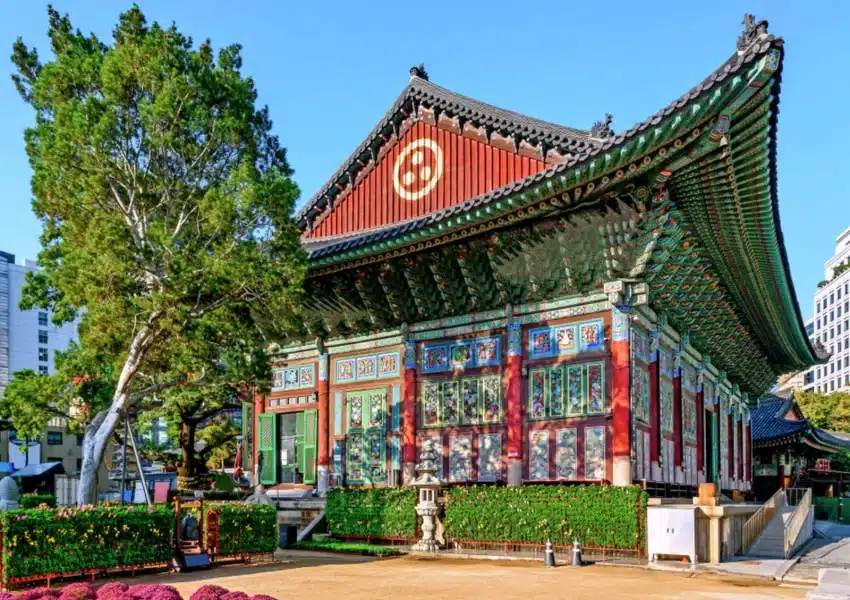 Korea tour from delhi