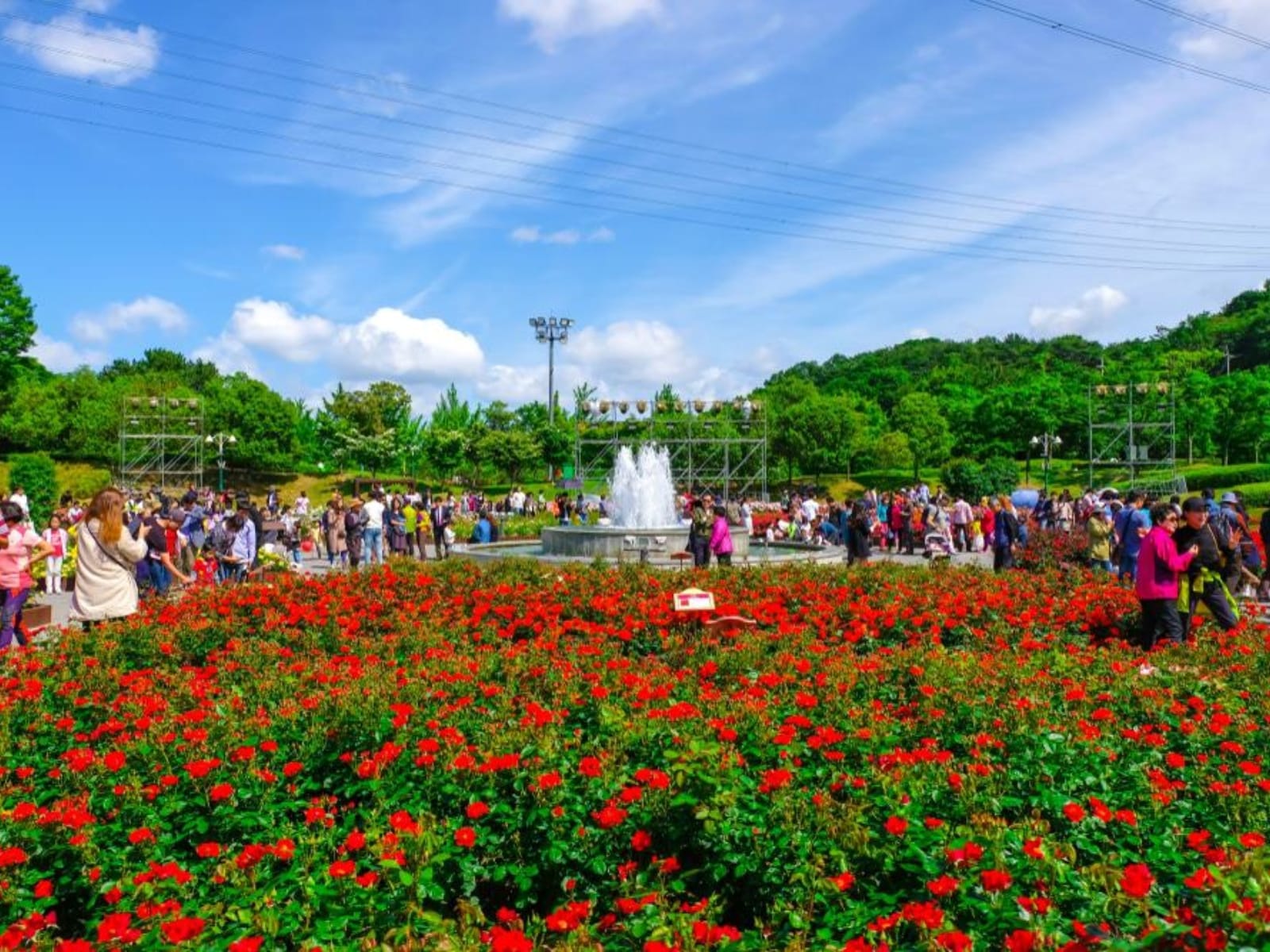 Ulsan Grand Park Korea