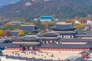 Seoul Night Tour 3