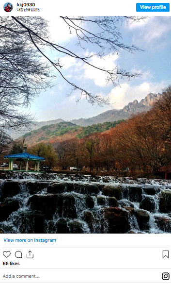 naejangsan national park tour