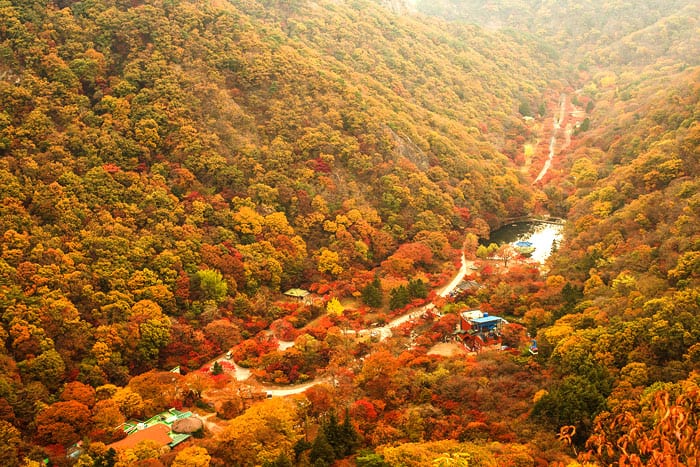 naejangsan national park tour