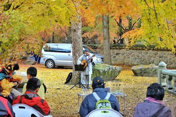 naejangsan national park tour