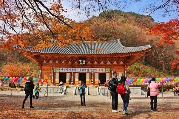 naejangsan national park tour