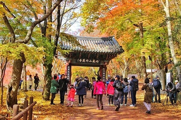 naejangsan national park tour