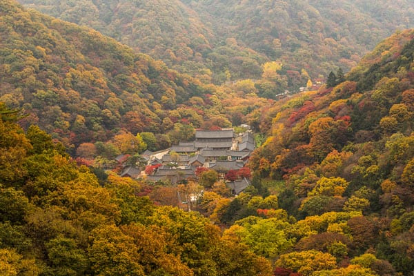 naejangsan national park tour