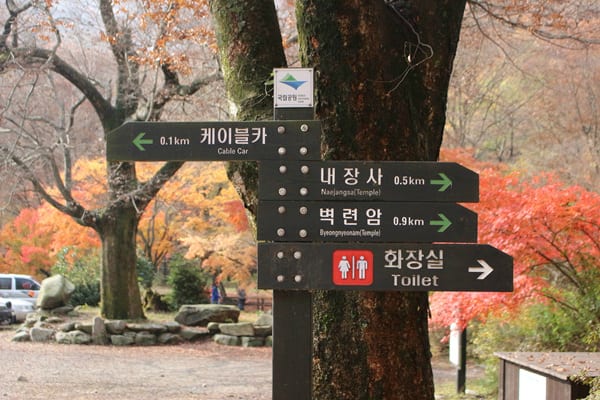 naejangsan national park tour