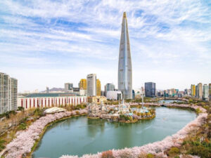 Korean Blossoms and Cultural Odyssey