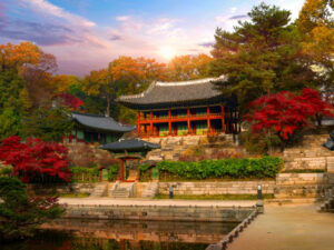 South Korea Autumn Foliage Tour