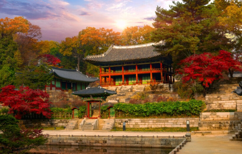 South Korea Autumn Foliage Tour